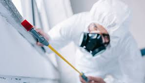 Best Commercial Pest Control  in Holly Ridge, NC